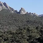 La Tuva Padru